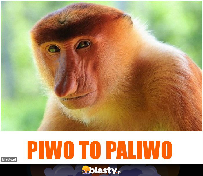 Piwo to paliwo