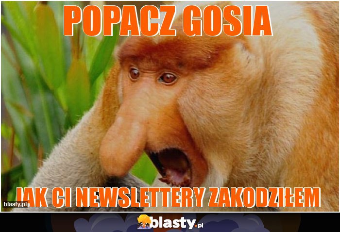 Popacz gosia