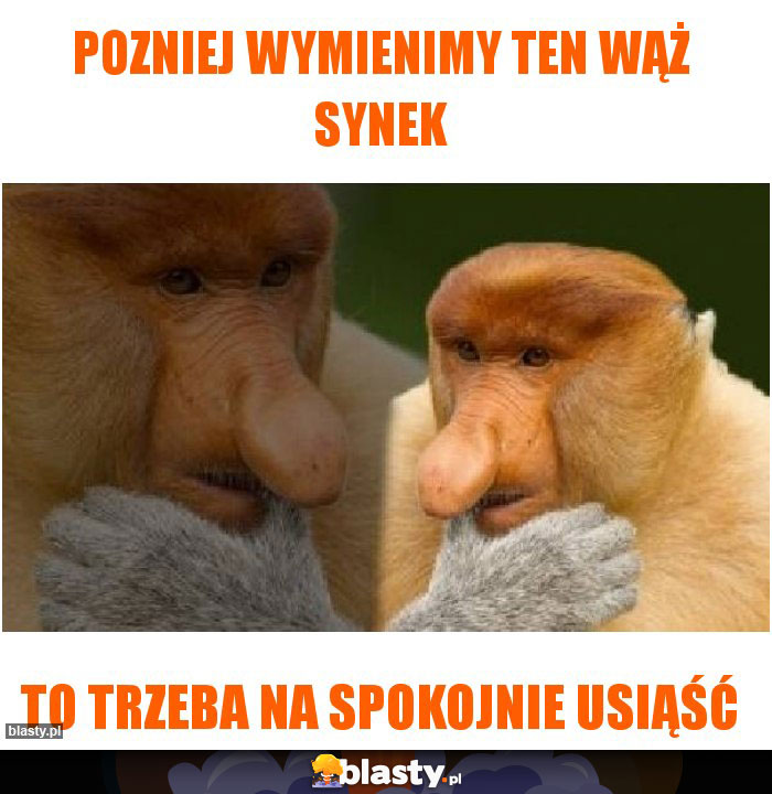 Pozniej wymienimy ten wąż synek