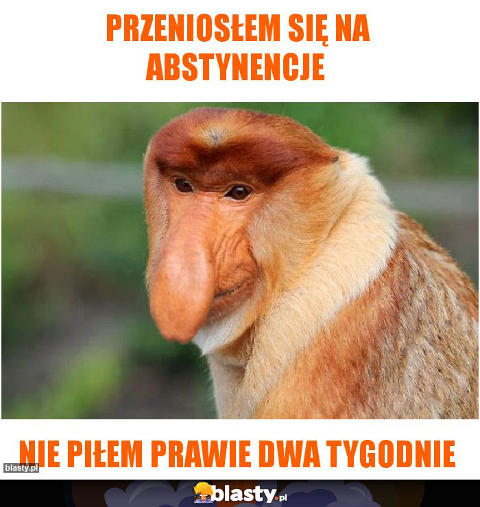 PRZENIOSŁEM SIĘ NA ABSTYNENCJE