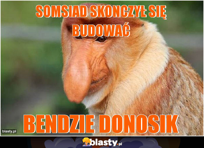 Somsiad skonczył się budować