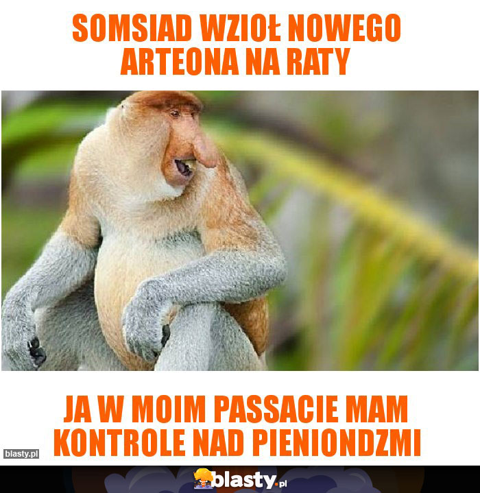 Somsiad wzioł nowego arteona na raty