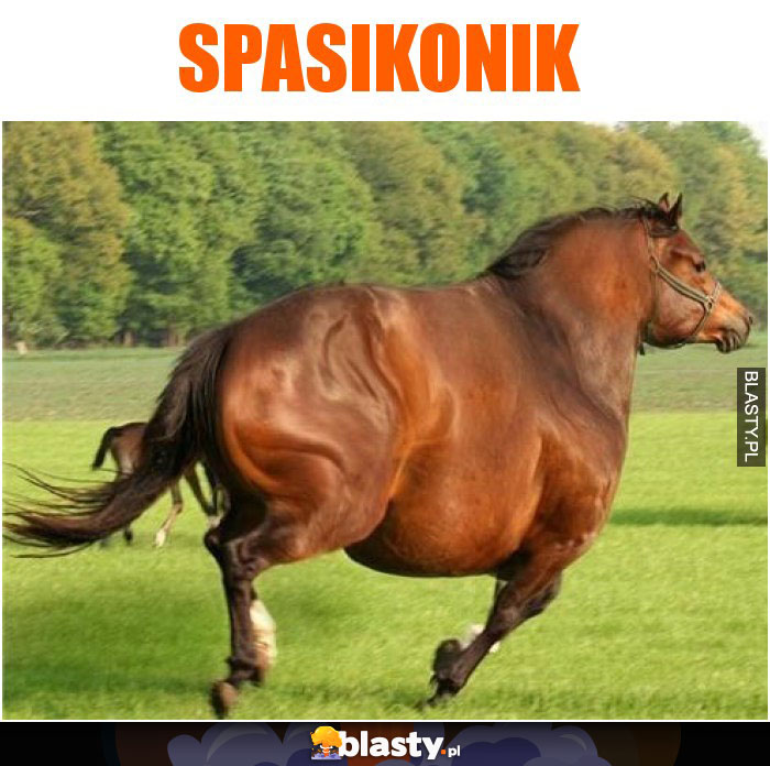 Spasikonik