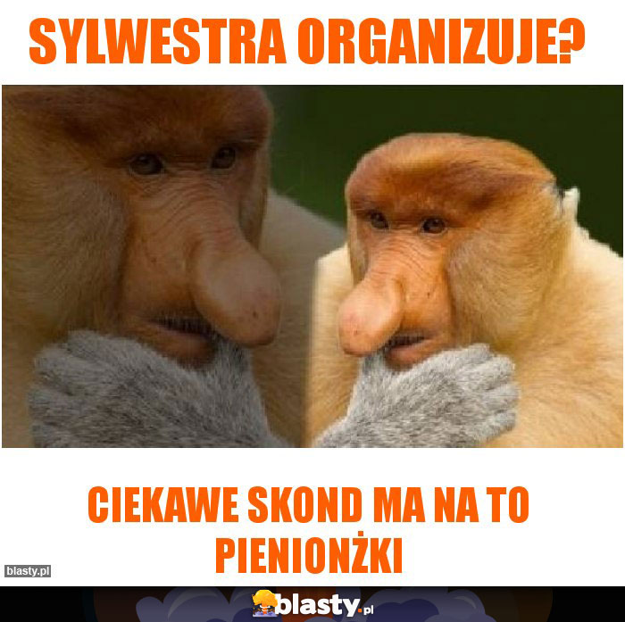 Sylwestra organizuje?