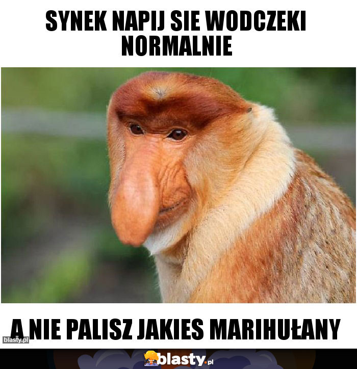 Synek napij sie wodczeki normalnie