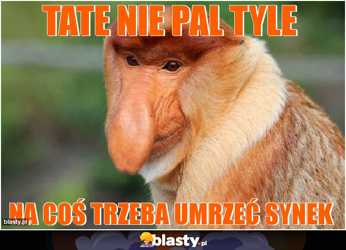 Tate nie pal tyle