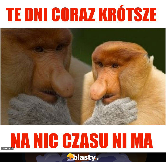 te dni coraz krótsze