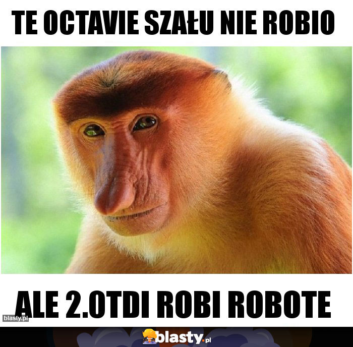 TE OCTAVIE SZAŁU NIE ROBIO