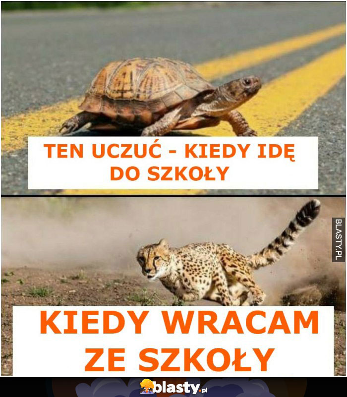 Ten uczuć kiedy idę do szkoły vs kiedy z niej wracam