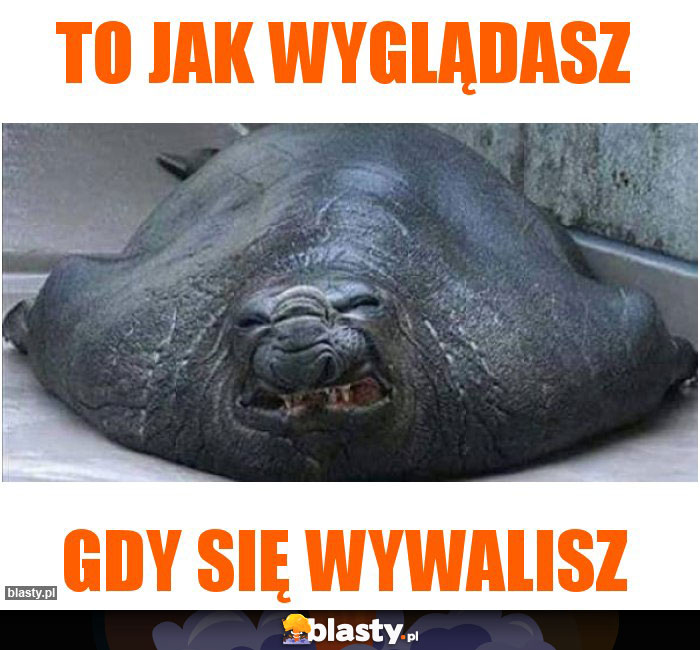 To jak wyglądasz