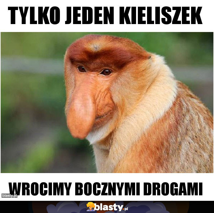 Tylko jeden kieliszek