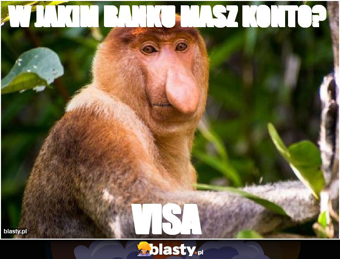 W JAKIM BANKU MASZ KONTO?