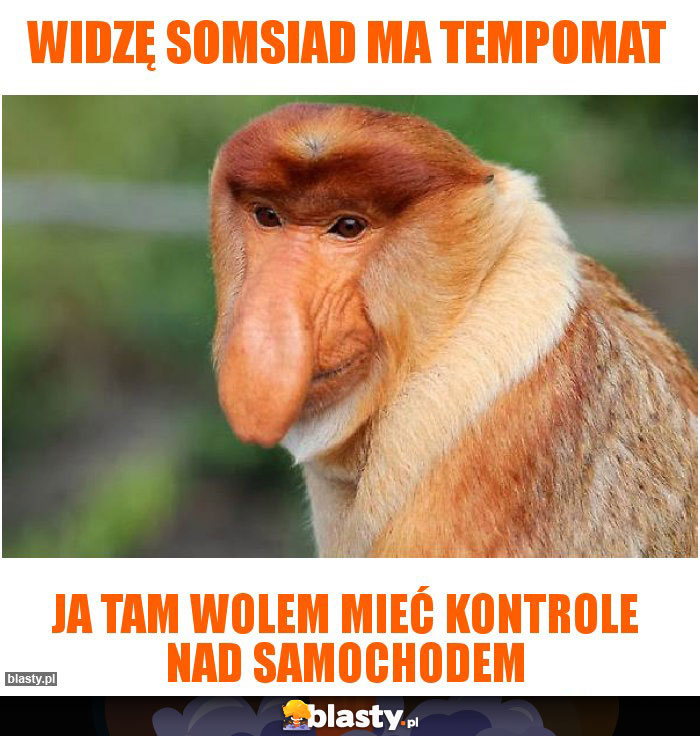 Widzę somsiad ma tempomat