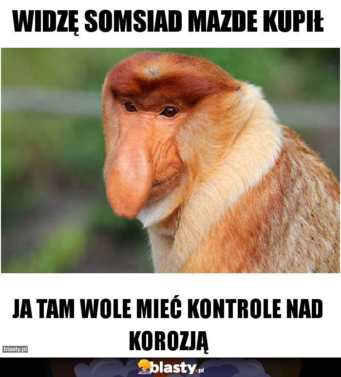 Widzę somsiad mazde kupił