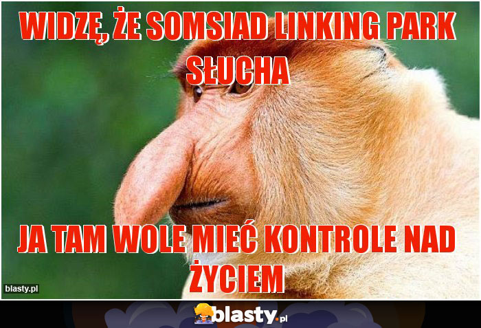 Widzę, że somsiad Linking Park słucha