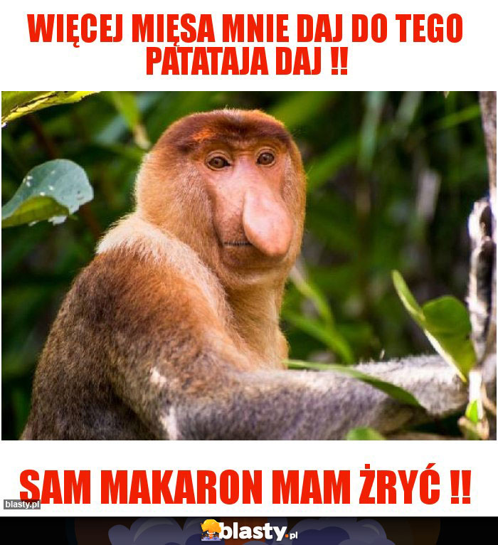 Więcej mięsa mnie daj do tego patataja daj !!