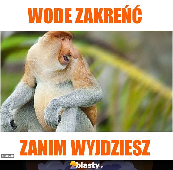 WODE ZAKREŃĆ