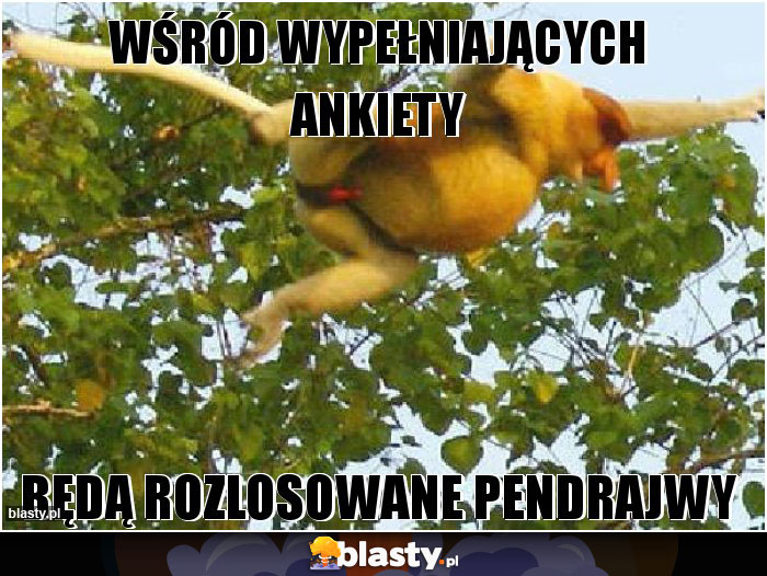 wśród wypełniających ankiety