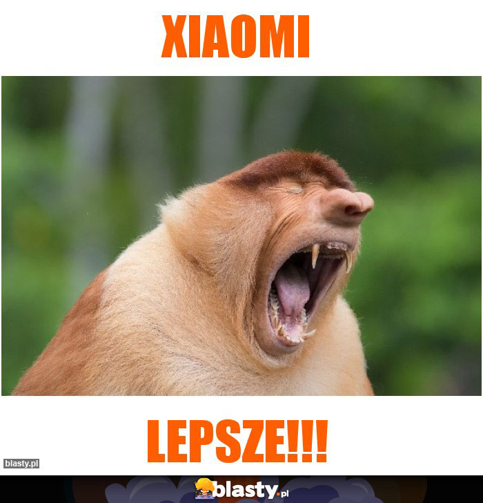 Xiaomi