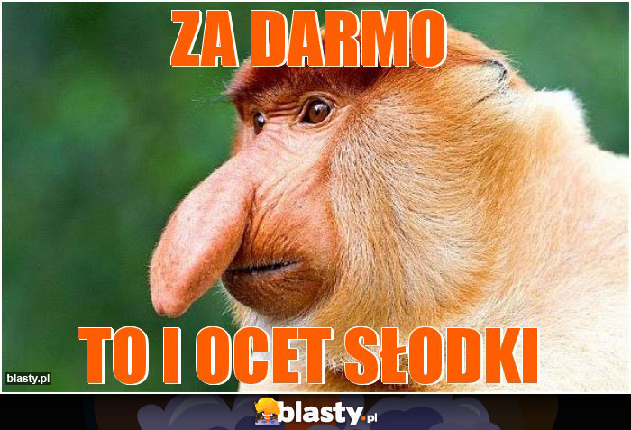 ZA DARMO