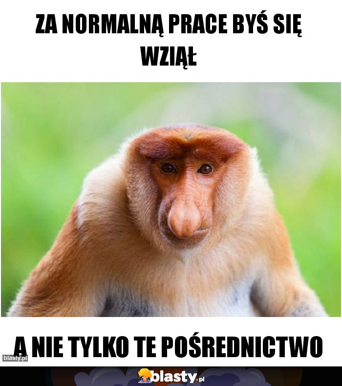 ZA NORMALNĄ PRACE BYŚ SIĘ WZIĄŁ