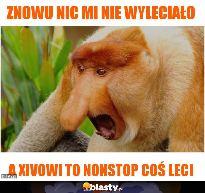 znowu nic mi nie wyleciało