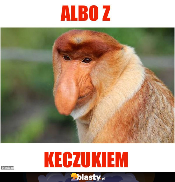 Albo z