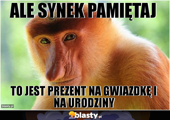 ALE SYNEK PAMIĘTAJ