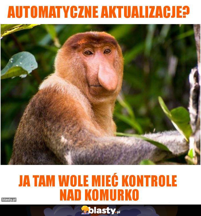 Automatyczne aktualizacje?