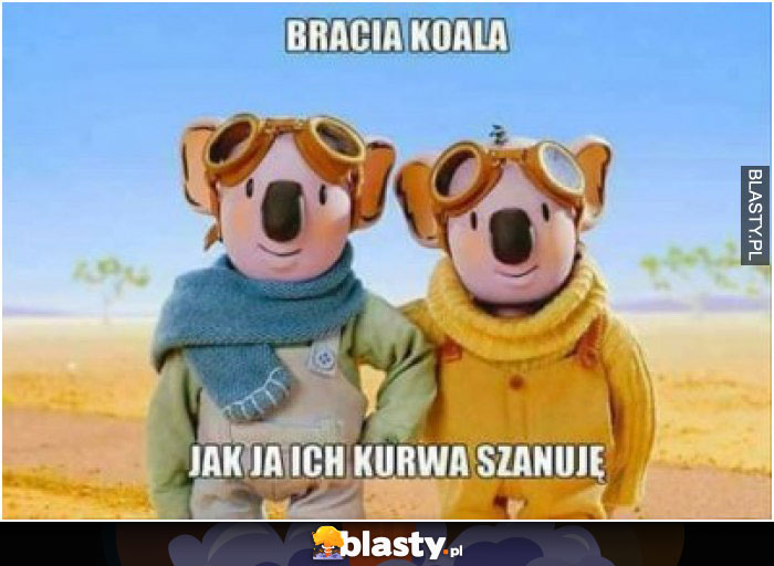 Bracia Koala - jak ja ich kurwa szanuje