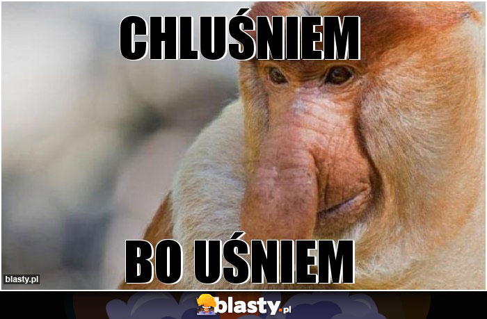 CHLUŚNIEM