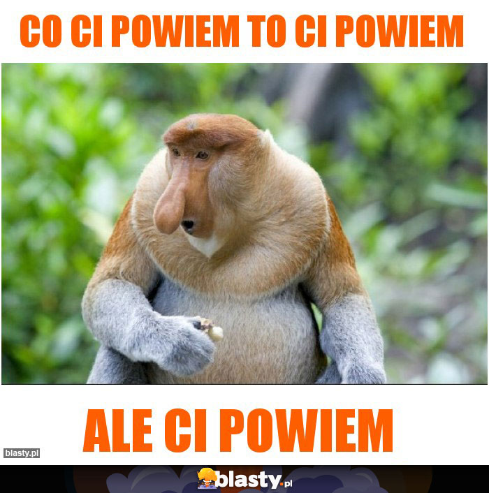 Co ci powiem to ci powiem