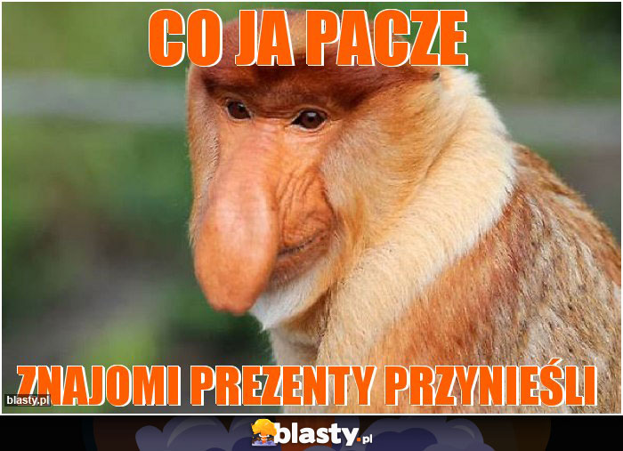 Co ja pacze