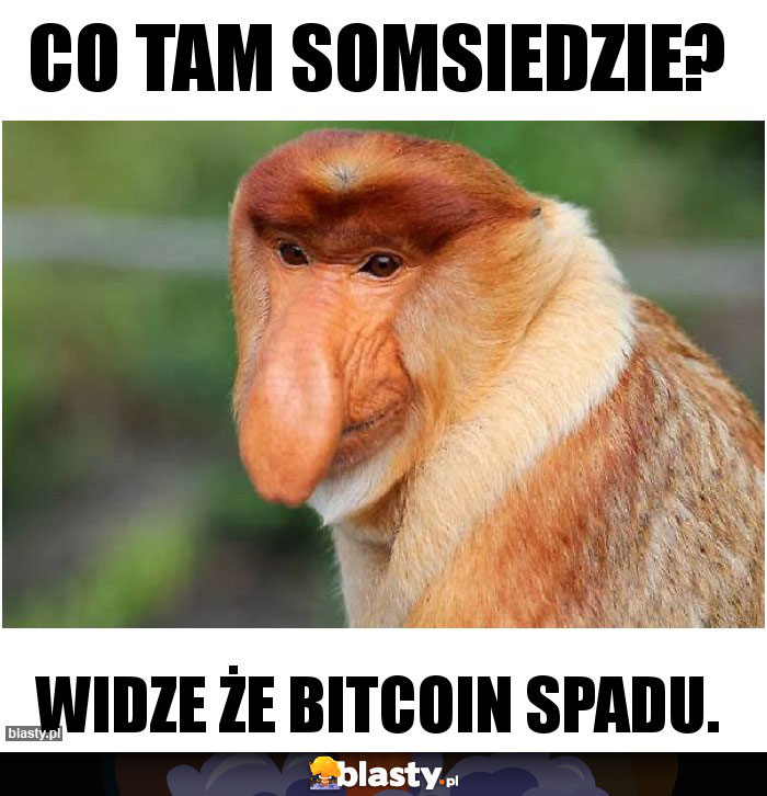 Co tam somsiedzie?