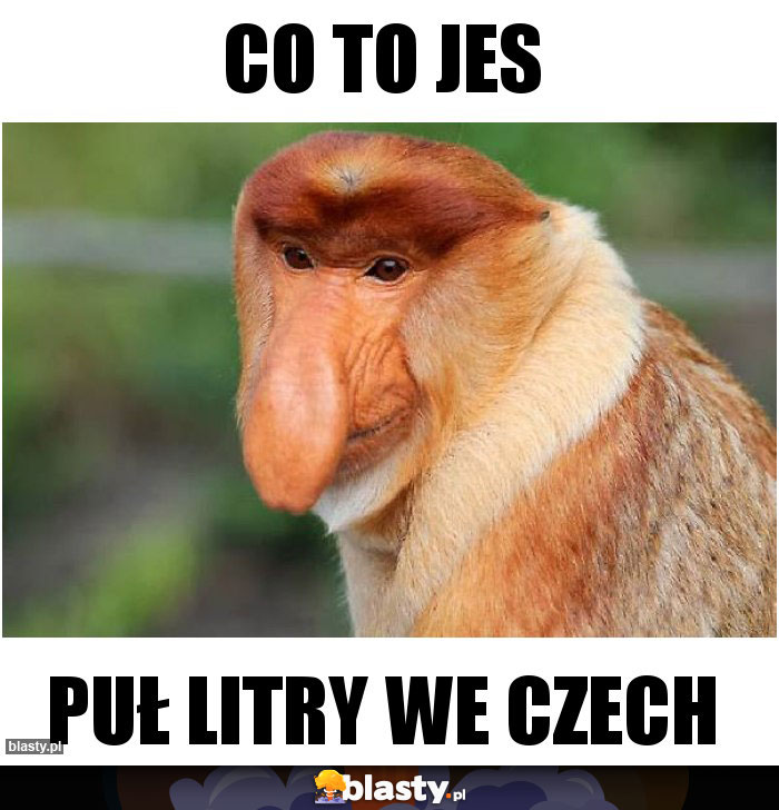 co to jes