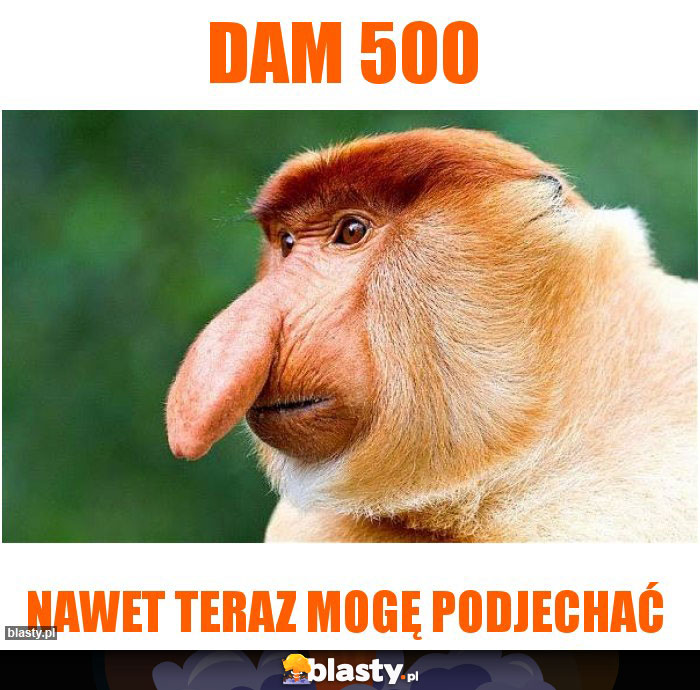 Dam 500