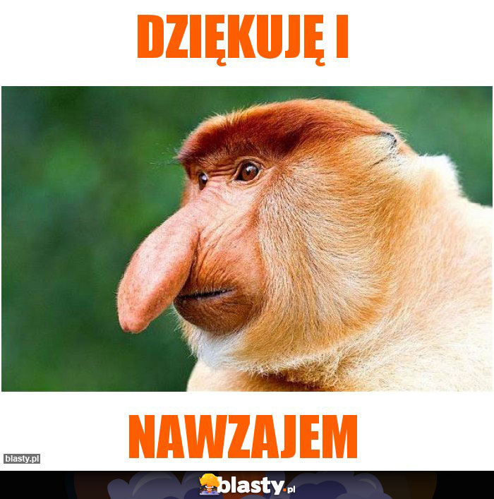 Dziękuję i