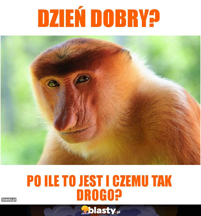 dzień dobry?