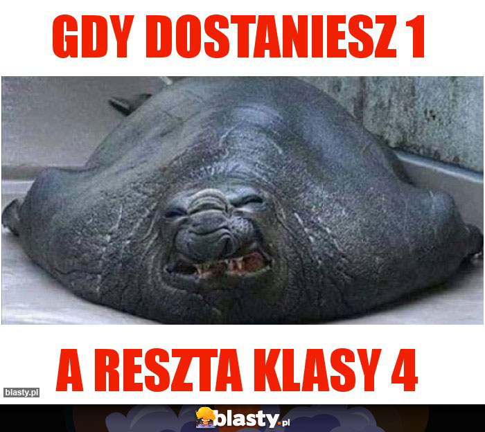 GDY DOSTANIESZ 1