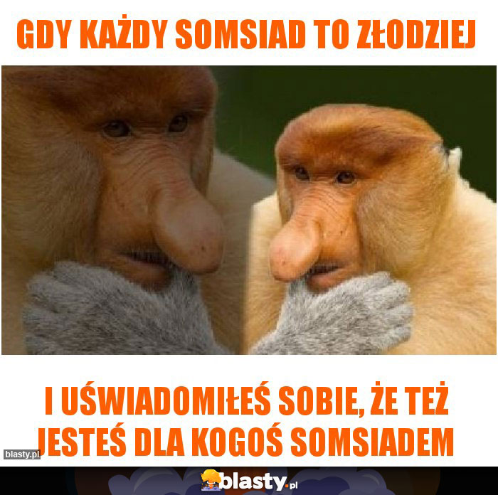 Gdy każdy somsiad to złodziej