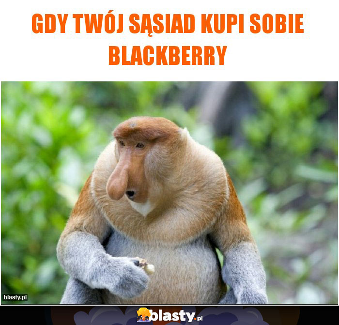 gdy twój sąsiad kupi sobie blackberry