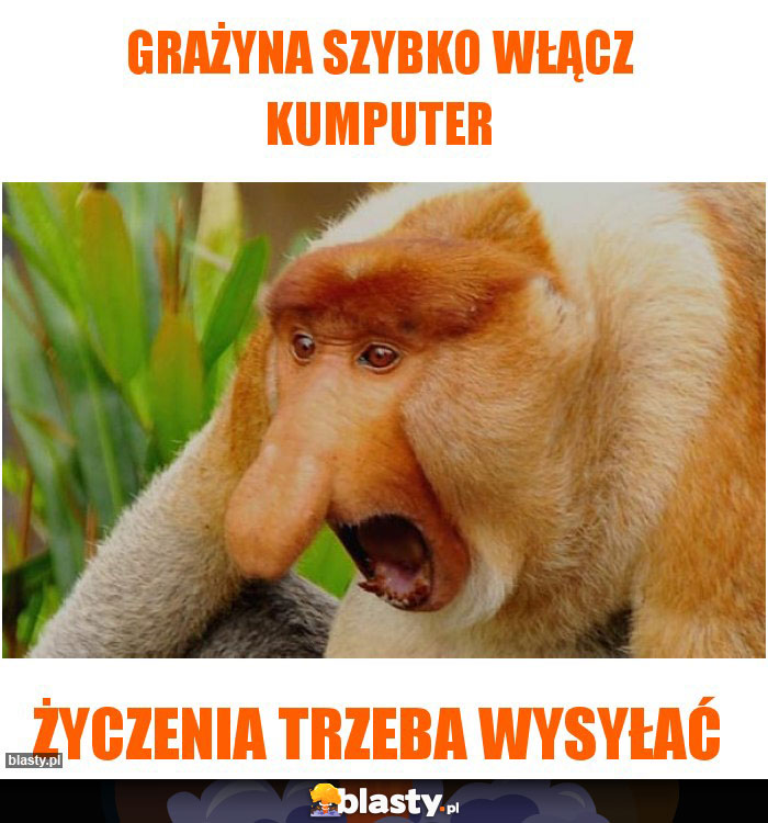 GRAŻYNA SZYBKO WŁĄCZ KUMPUTER