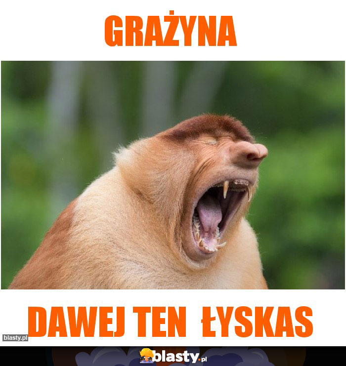 GRAŻYNA