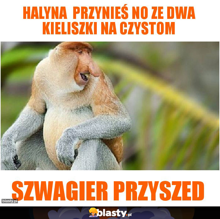 Halyna  przynieś no ze dwa kieliszki na czystom