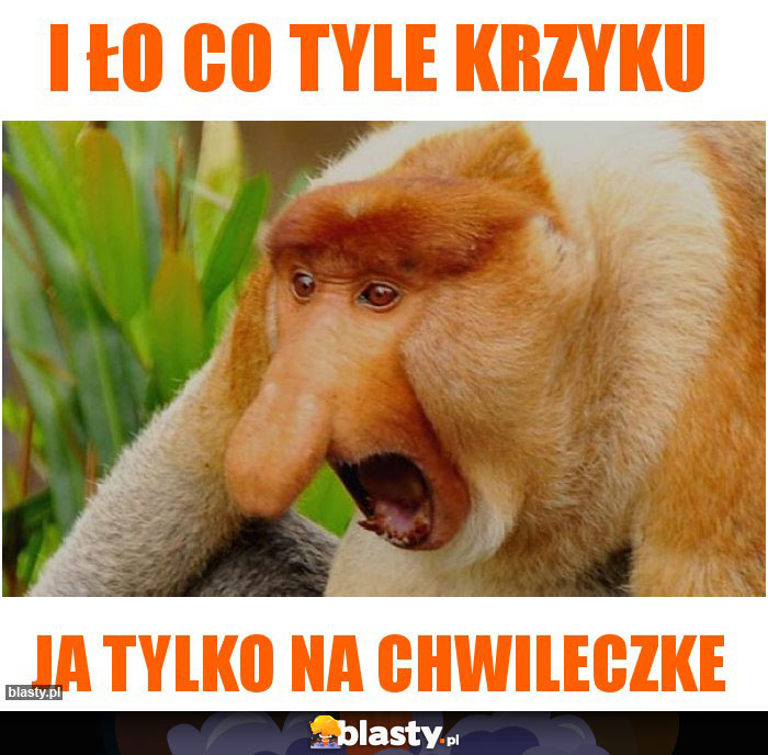 I ŁO CO TYLE KRZYKU