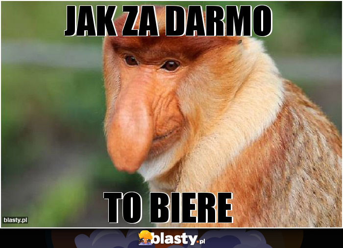 jak za darmo