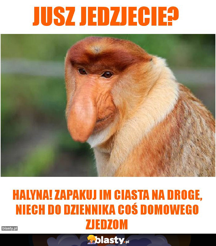 Jusz jedzjecie?