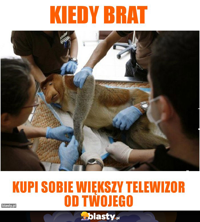 Kiedy brat