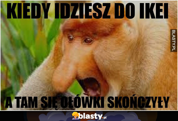 KIEDY IDZIESZ DO IKEi