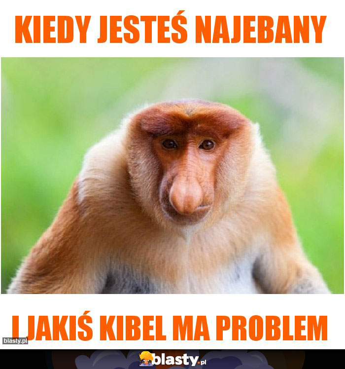 Kiedy jesteś najebany